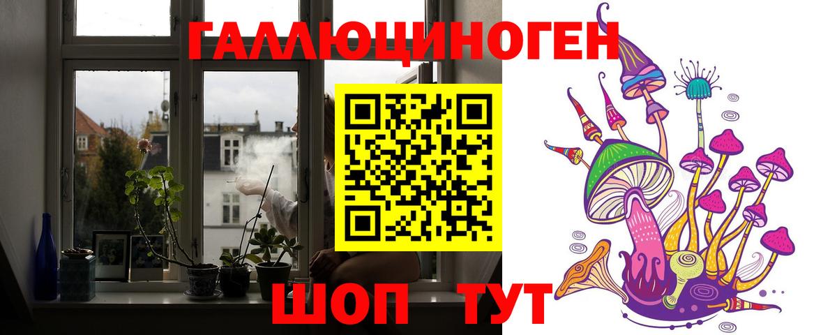 Псилоцибиновые грибы Psilocybine cubensis  как найти закладки  Вход с VPN  Черногорск  Псилоцибиновые грибы MAGIC MUSHROOMS 